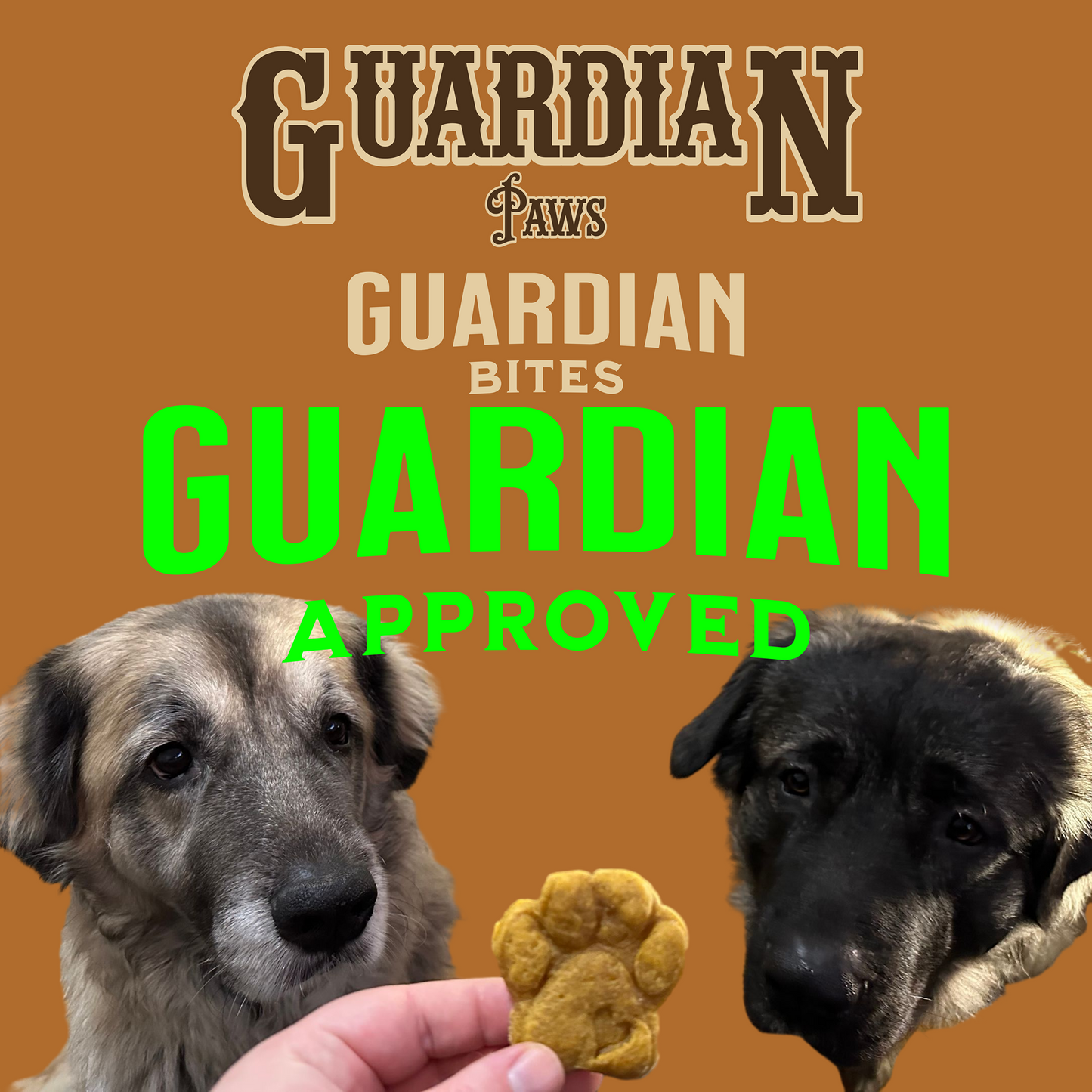 Homemade Chicken Training Treats – Moose and Angel Approved!